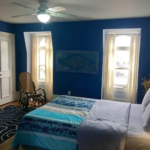 Comfy & Guest house